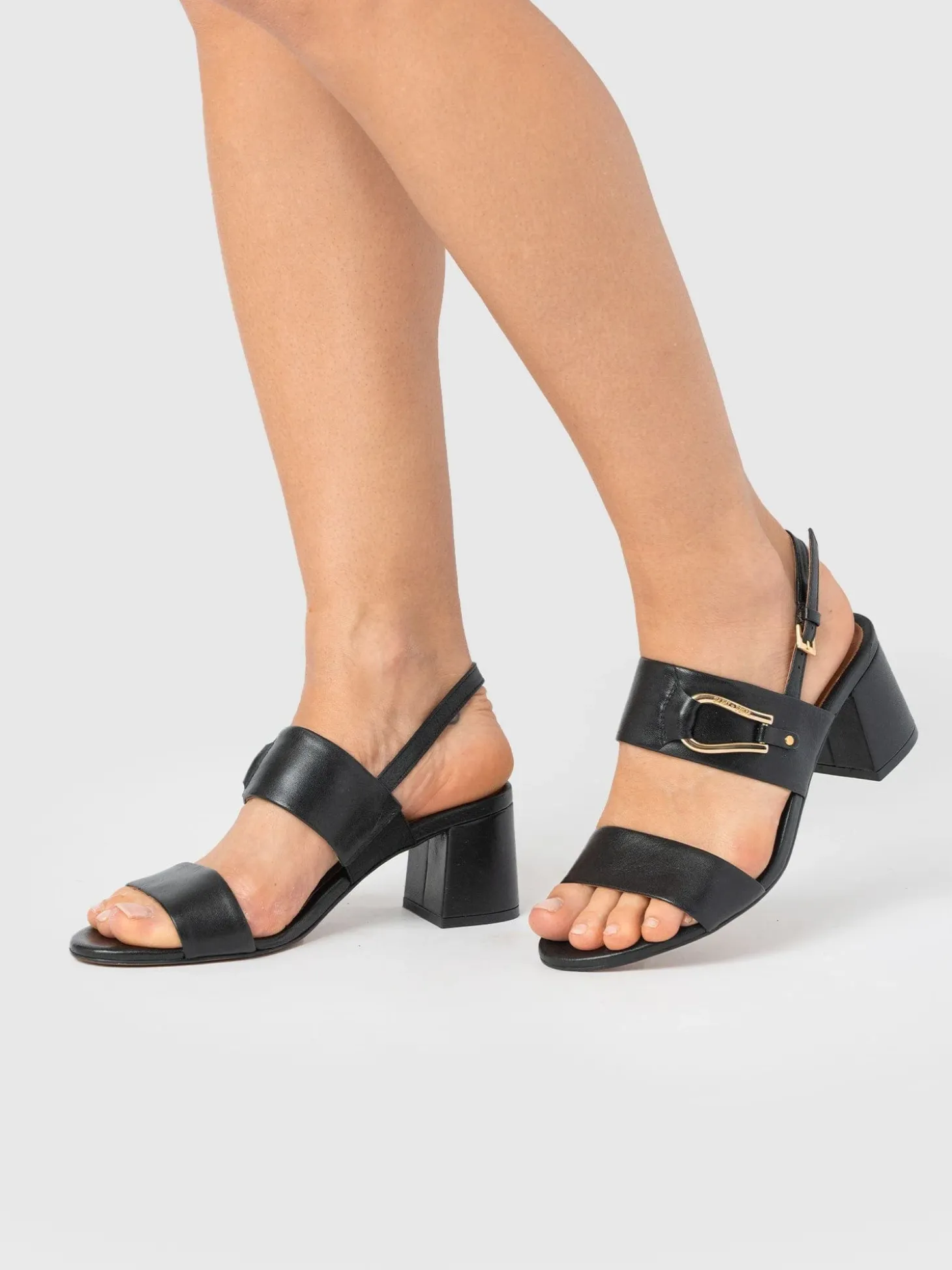 Maida Block Heeled Mules - Black